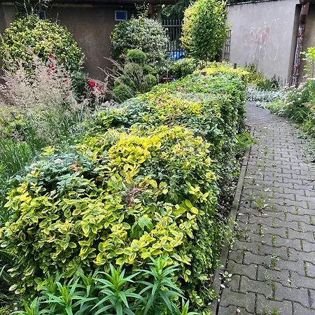 Przytulny 2 Pokojowy Apartament 46m2 W Centrum 아파트 *